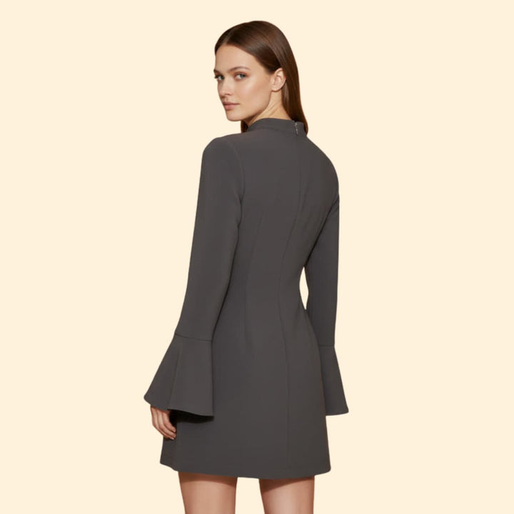 Women's Elegant Long Sleeve Mini Dress