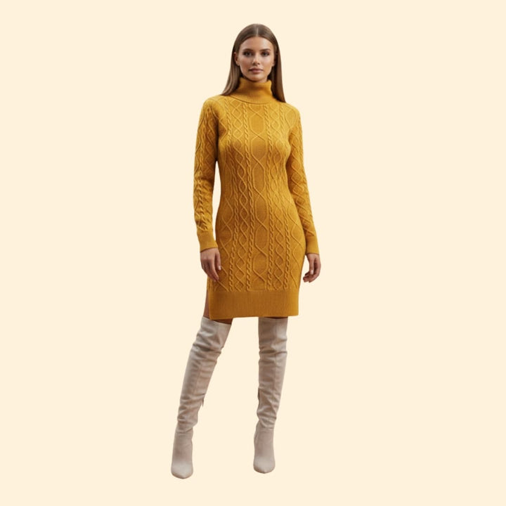 Women's Elegant Roll Neck Knit Dress
