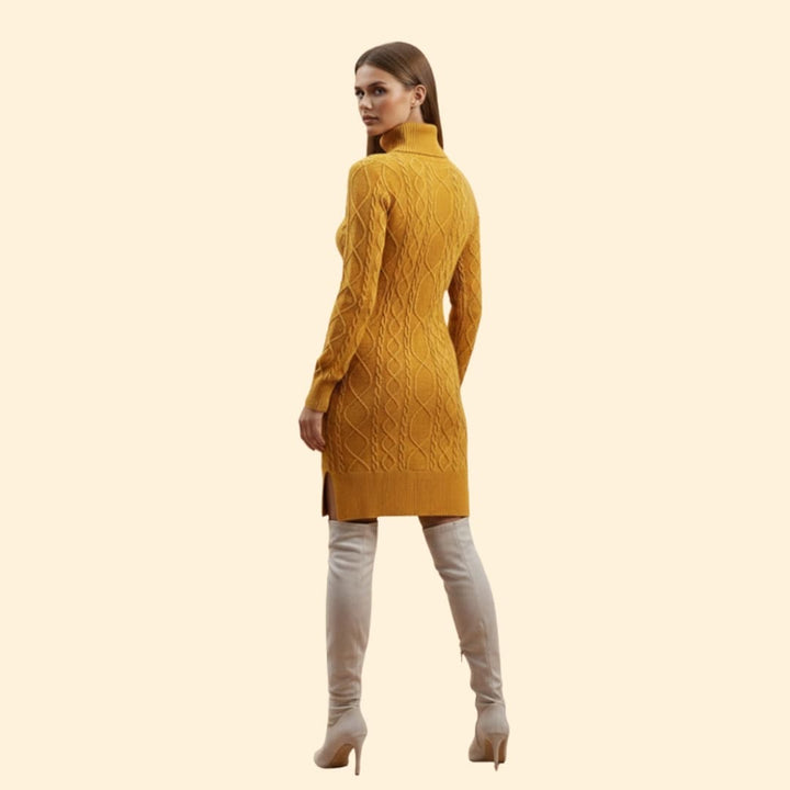 Women's Elegant Roll Neck Knit Dress