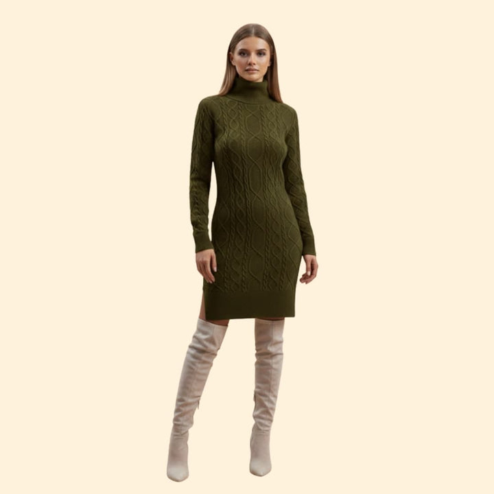 Women's Elegant Roll Neck Knit Dress