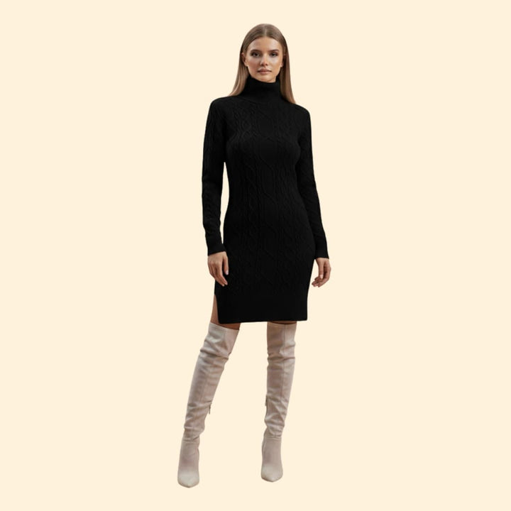 Women's Elegant Roll Neck Knit Dress