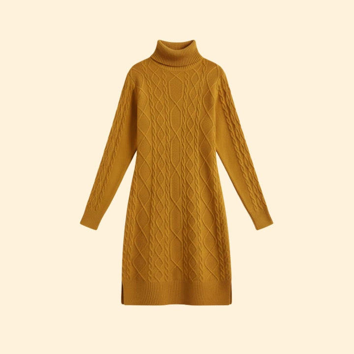 Women's Elegant Roll Neck Knit Dress
