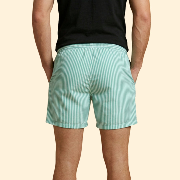 Men's Striped Swim Trunks