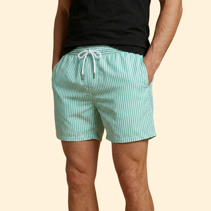 Men's Striped Swim Trunks