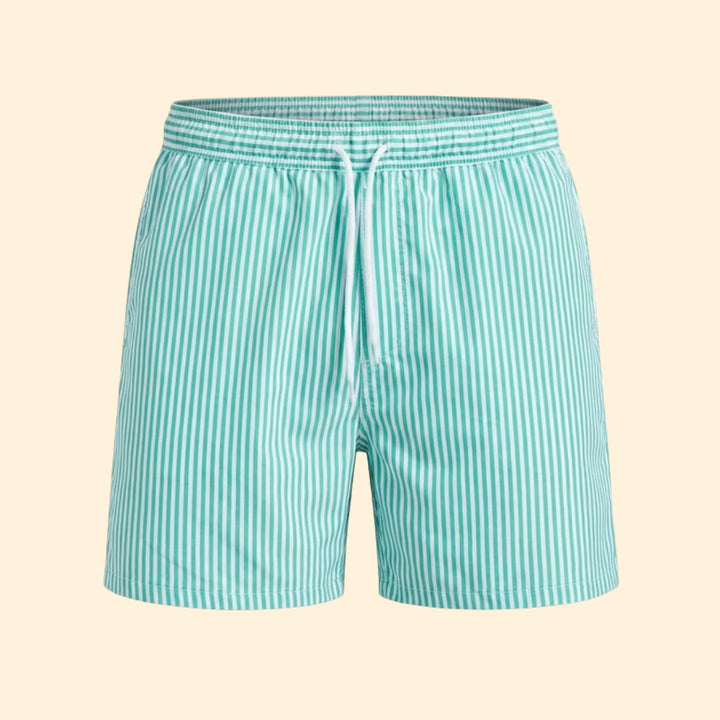 Men's Striped Swim Trunks