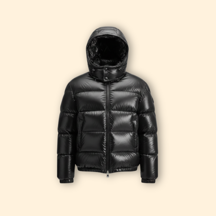 Sleek Hooded Puffer Jacket
