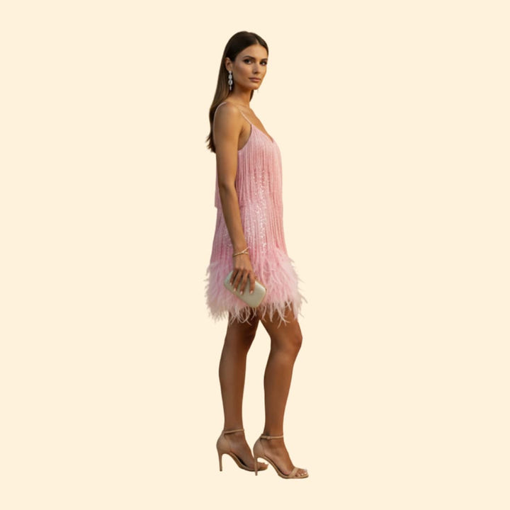 Women's Sparkling Fringe Party Dress