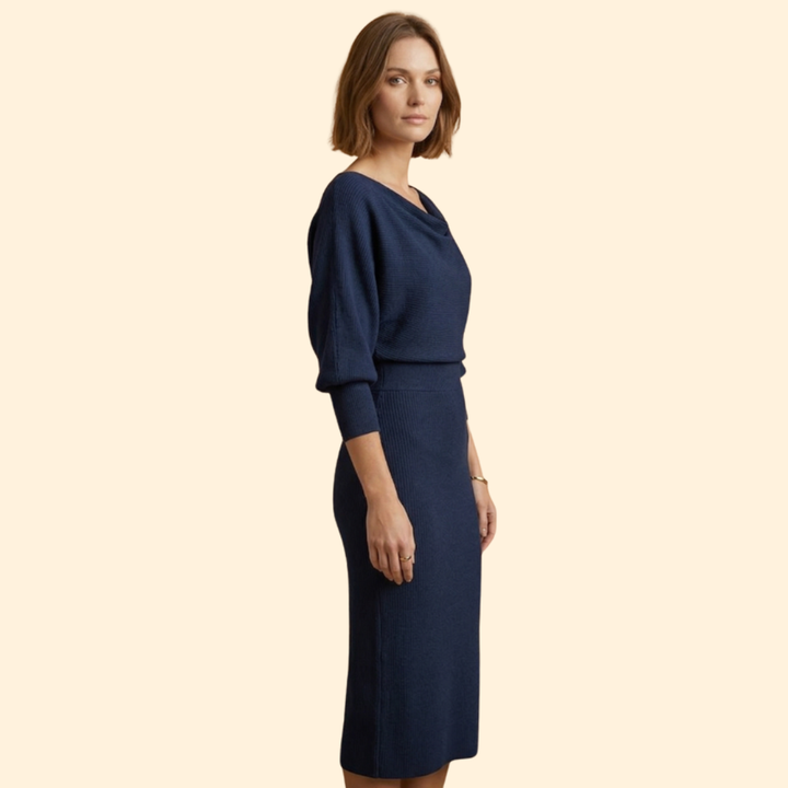 Women's Chic Cowl Neck Dress