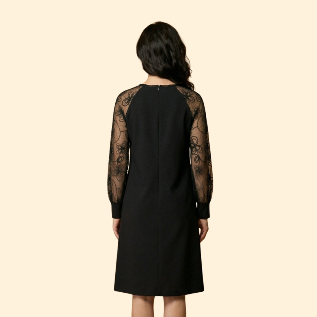 Women's Lace Sleeve Dress