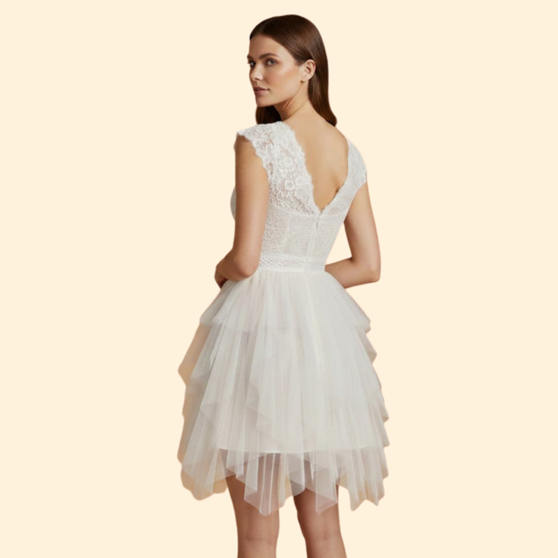 Women's Sleeveless Lace Bodice Tulle Dress