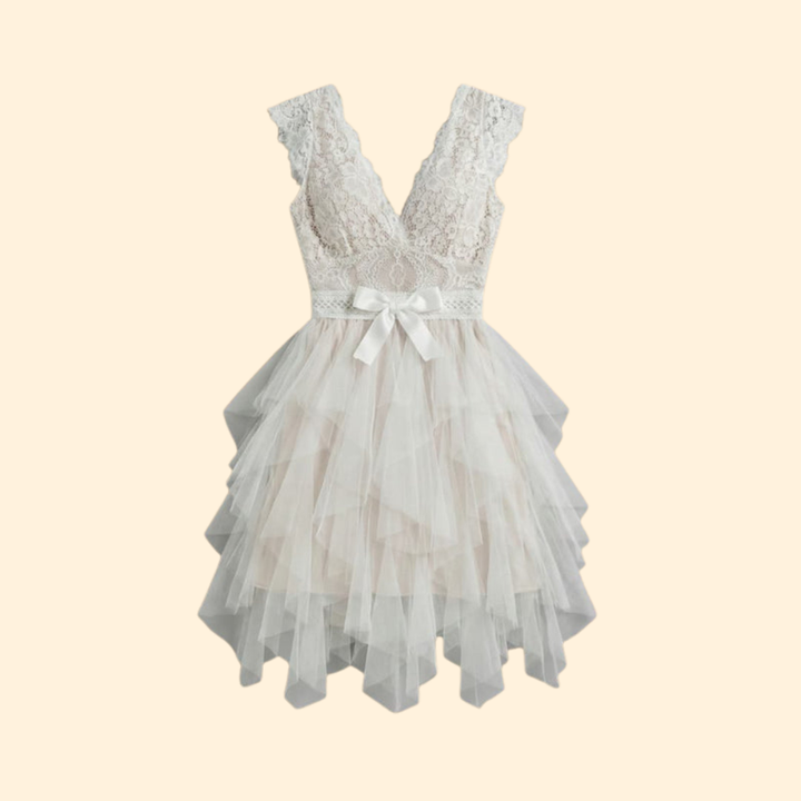 Women's Sleeveless Lace Bodice Tulle Dress