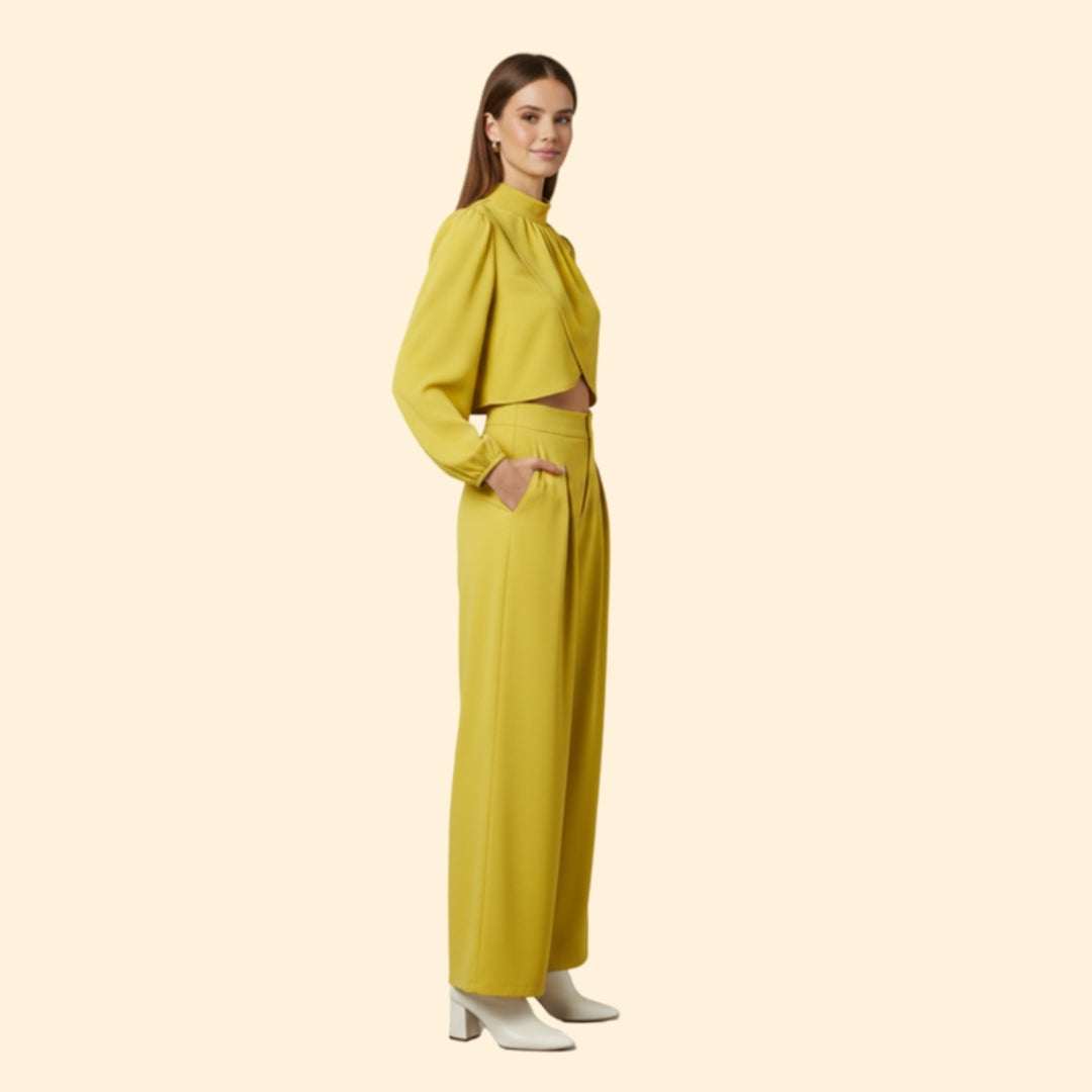 Women's Stylish Crop and Pant Set