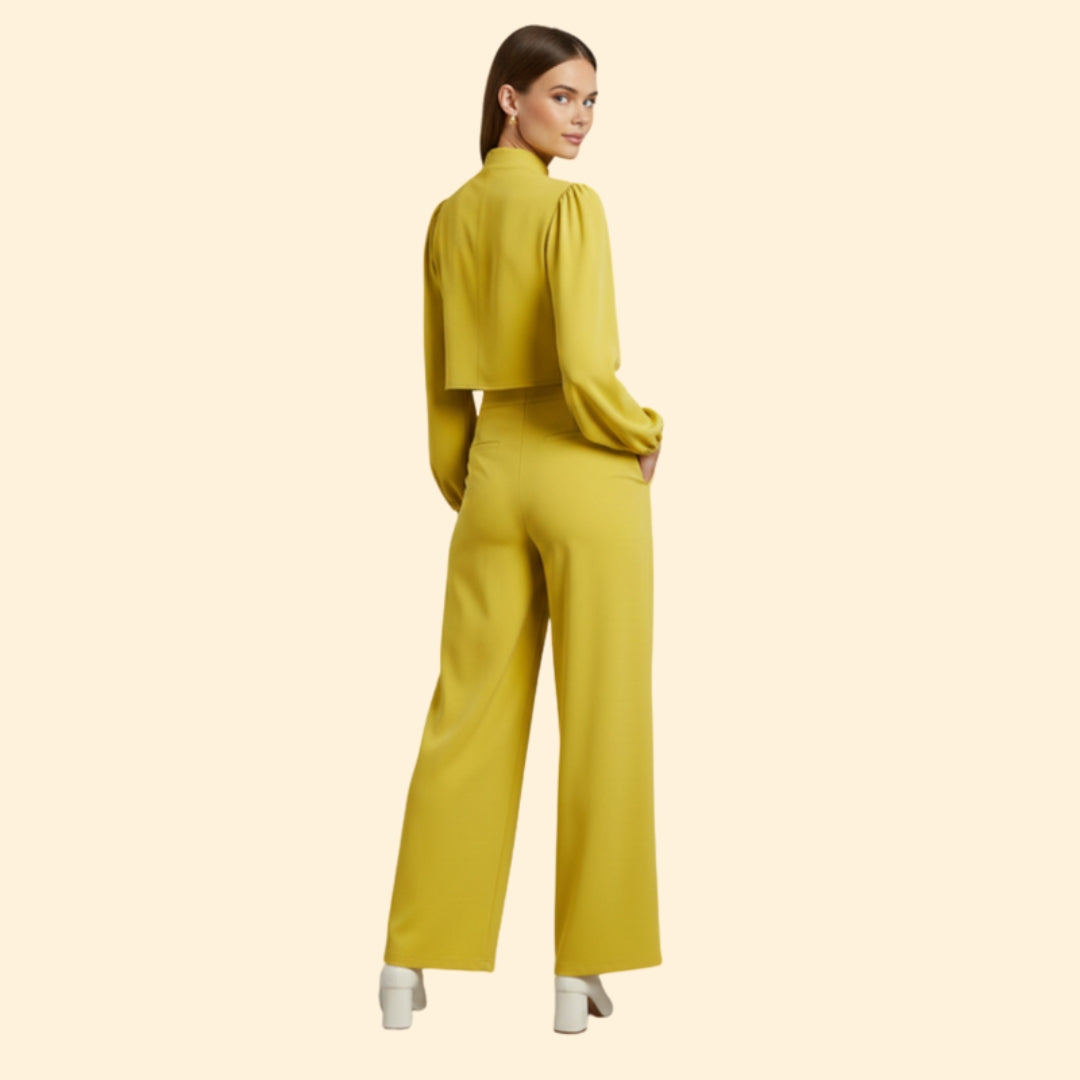 Women's Stylish Crop and Pant Set