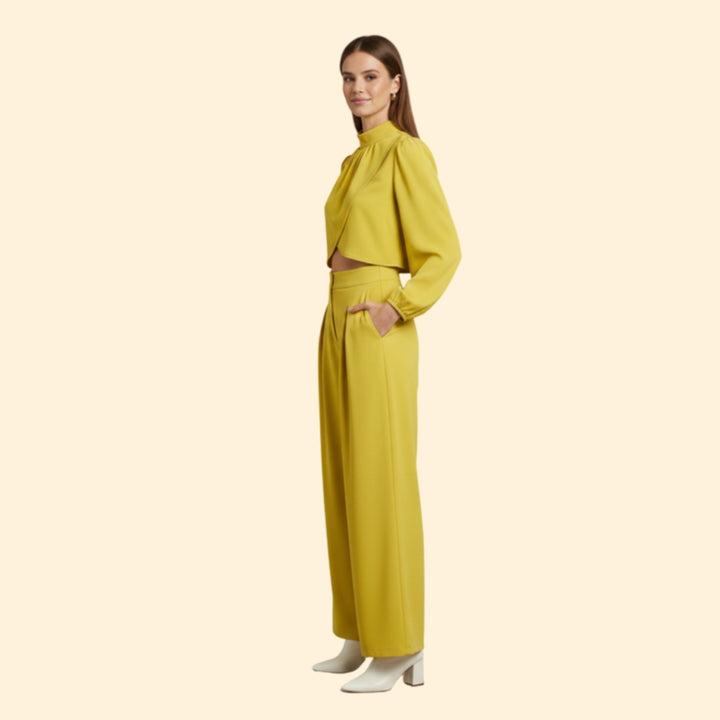 Women's Stylish Crop and Pant Set