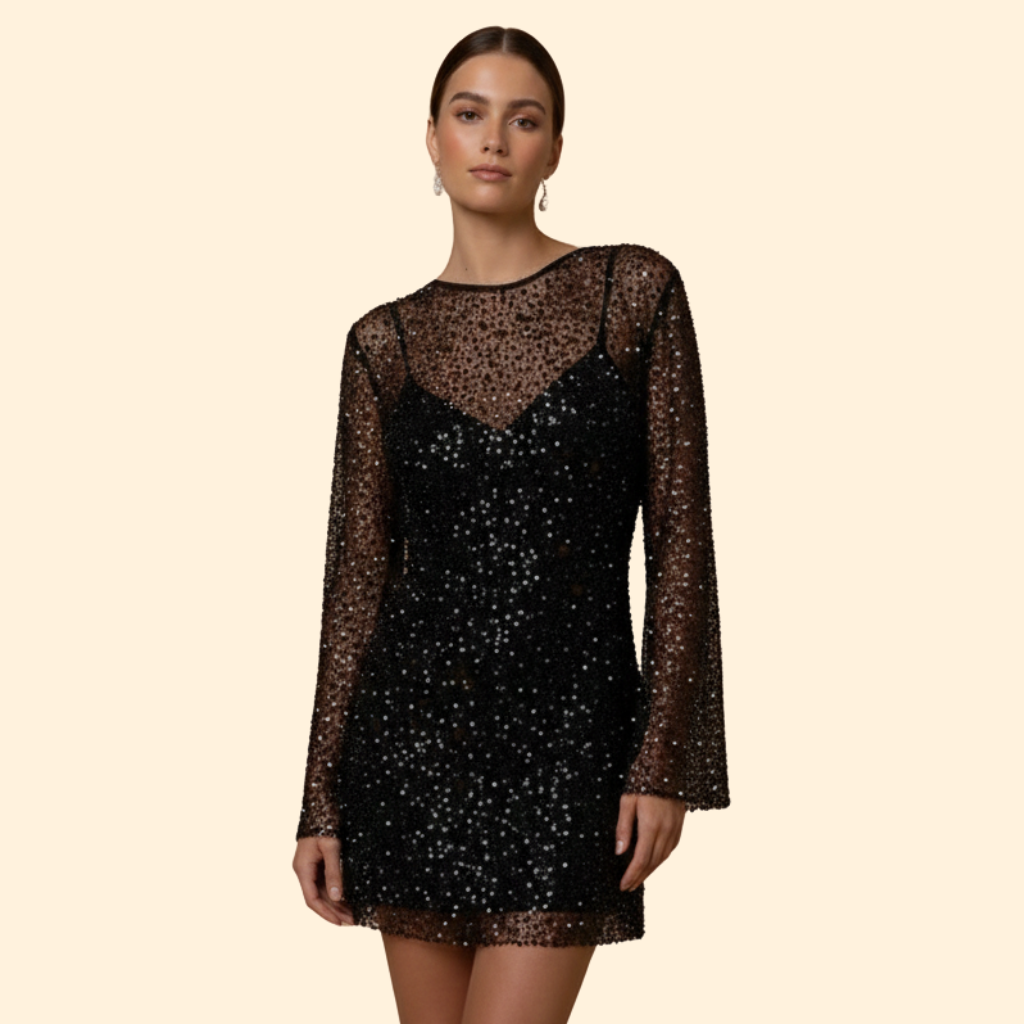 Women’s Chic Mesh Two-Piece Dress