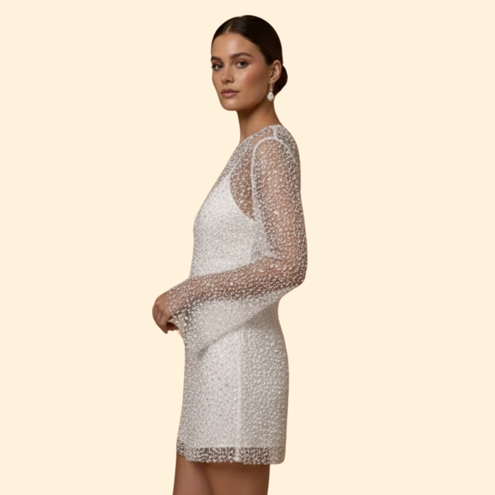 Women’s Chic Mesh Two-Piece Dress