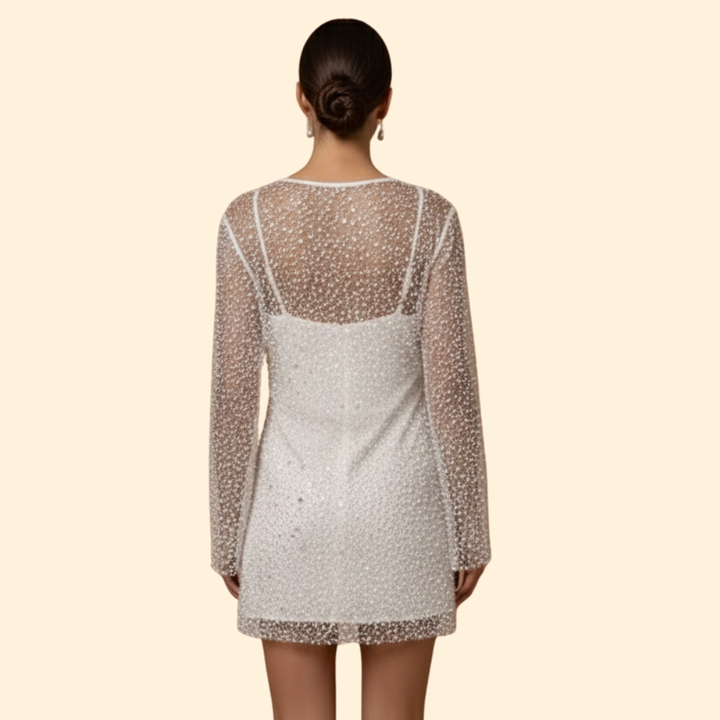 Women’s Chic Mesh Two-Piece Dress