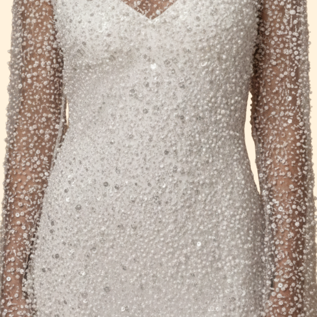 Women’s Chic Mesh Two-Piece Dress