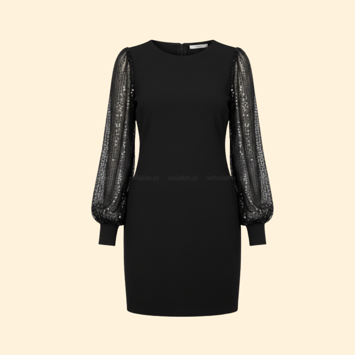 Women’s Sheer Sleeve Dress