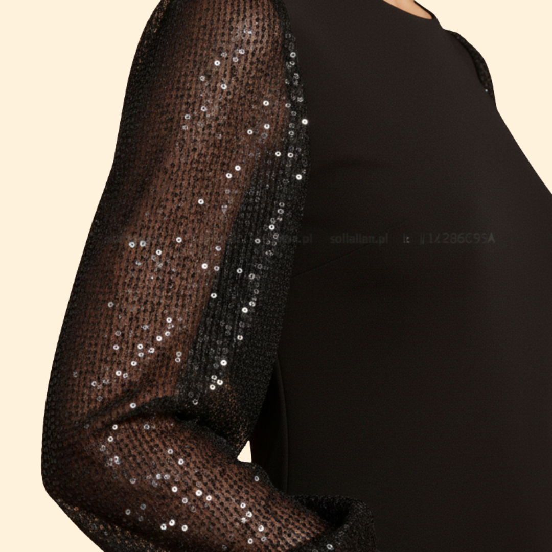 Women’s Sheer Sleeve Dress