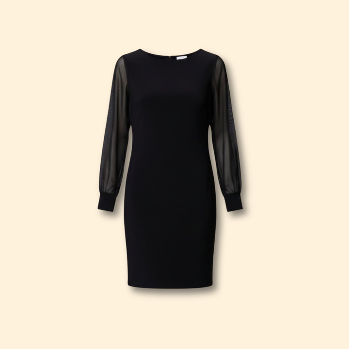 Women’s Sheer Sleeve Mini Dress