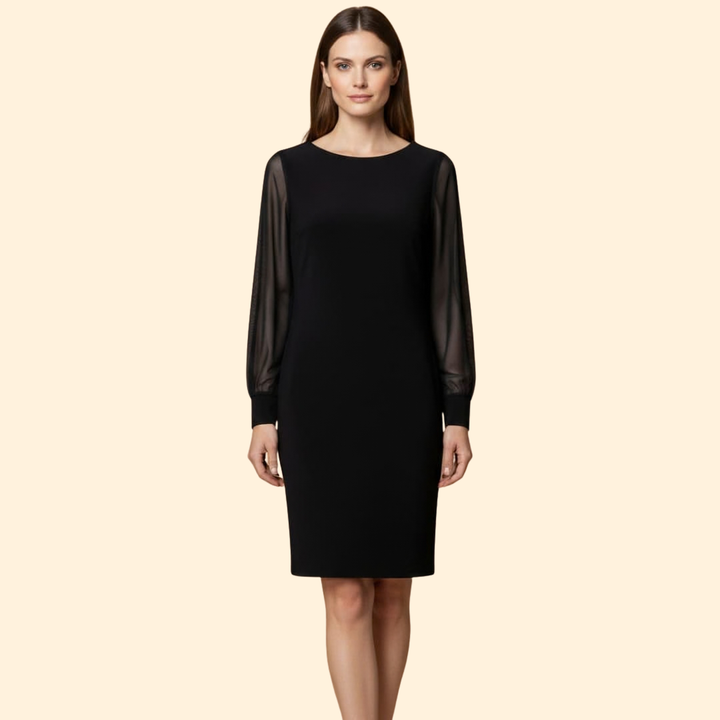 Women’s Sheer Sleeve Mini Dress