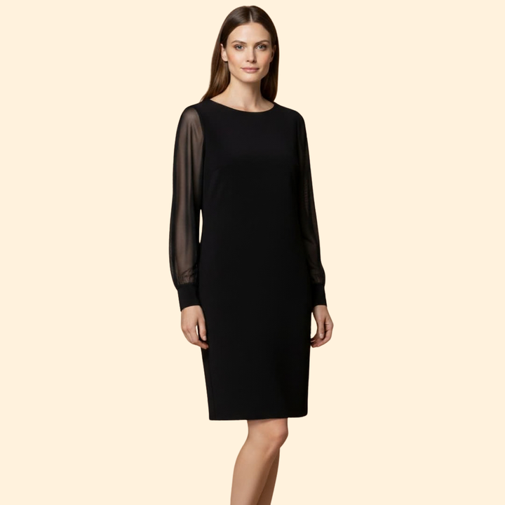 Women’s Sheer Sleeve Mini Dress