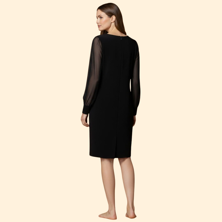 Women’s Sheer Sleeve Mini Dress