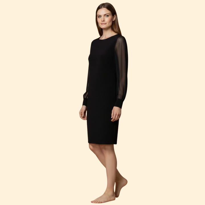 Women’s Sheer Sleeve Mini Dress