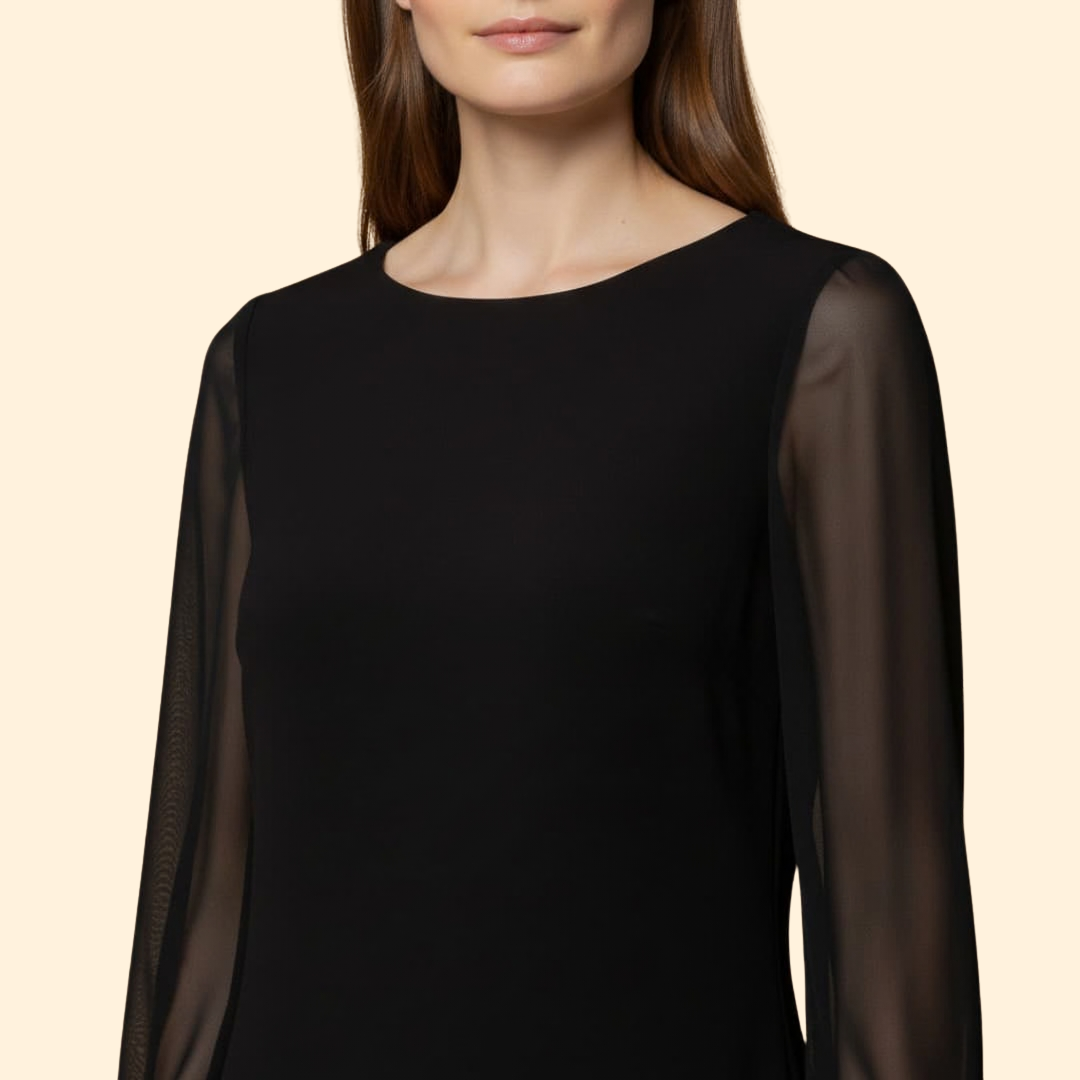 Women’s Sheer Sleeve Mini Dress