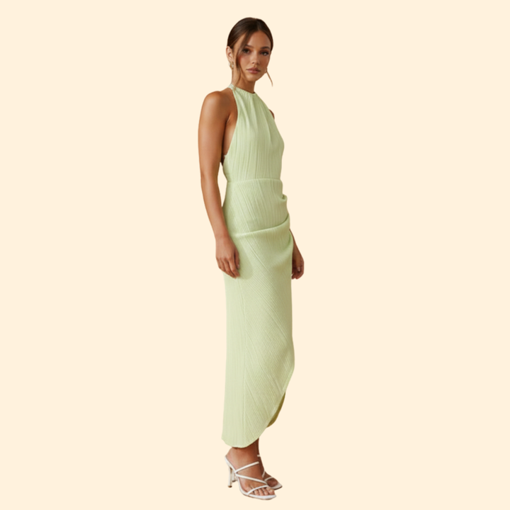Women’s Slim Backless Dress