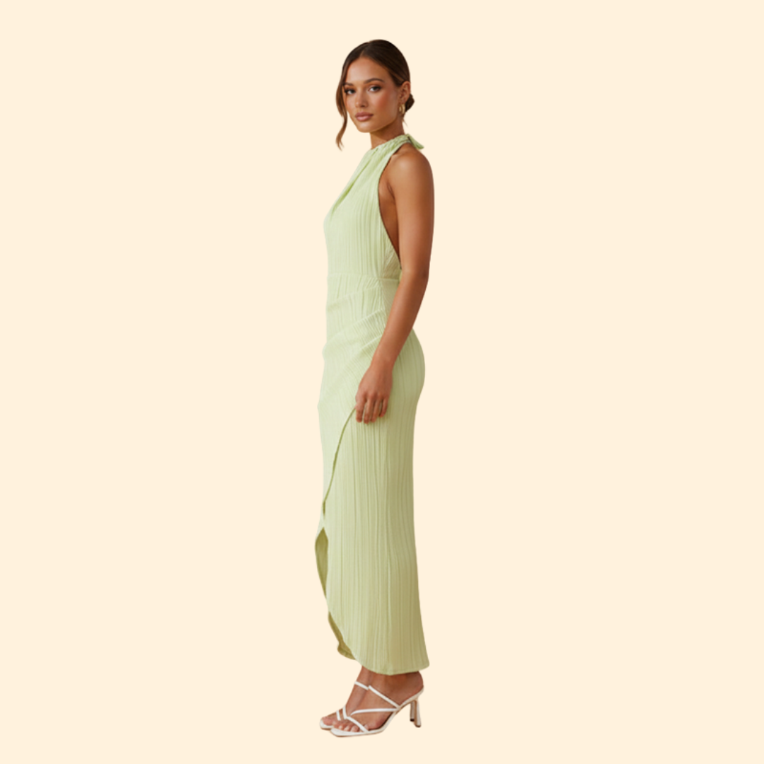 Women’s Slim Backless Dress