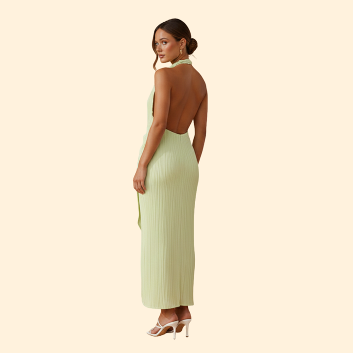 Women’s Slim Backless Dress