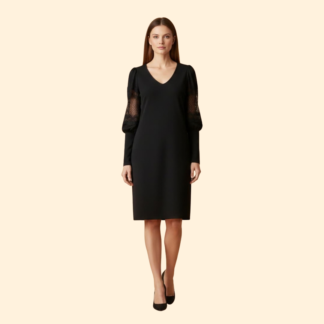 Women’s V-Neck Lace Sleeve Dress