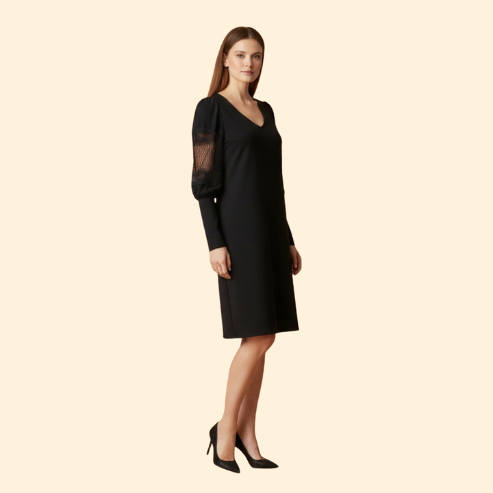 Women’s V-Neck Lace Sleeve Dress