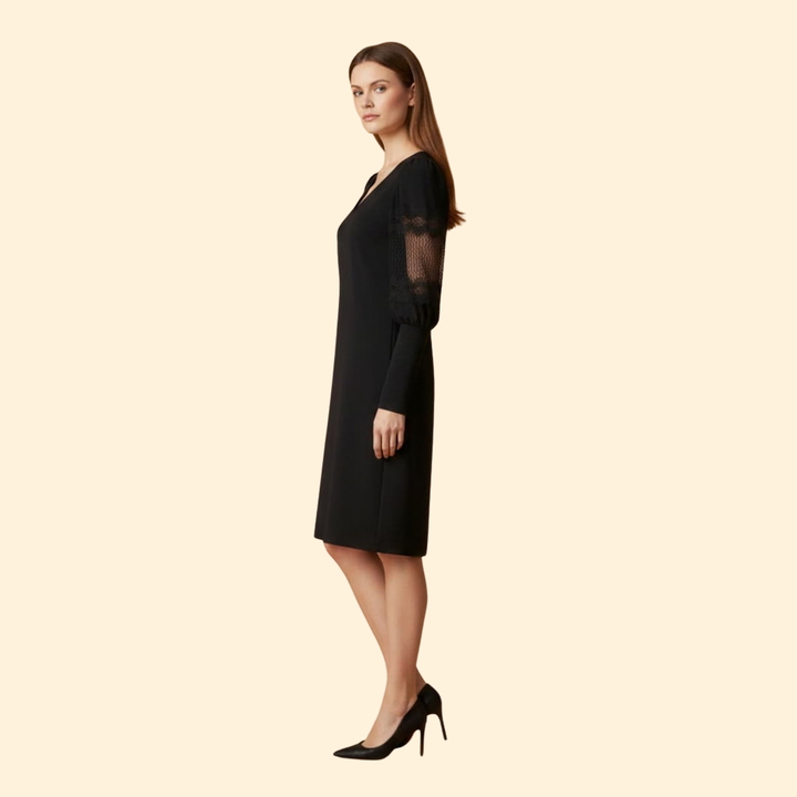 Women’s V-Neck Lace Sleeve Dress
